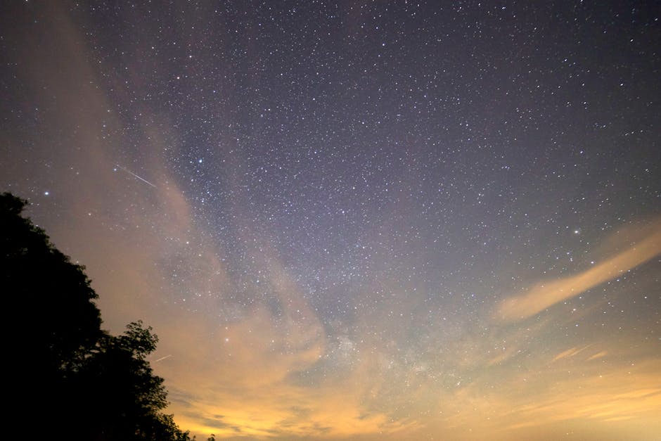 star-filled night sky with the Milky Way and a meteor streak over a forest