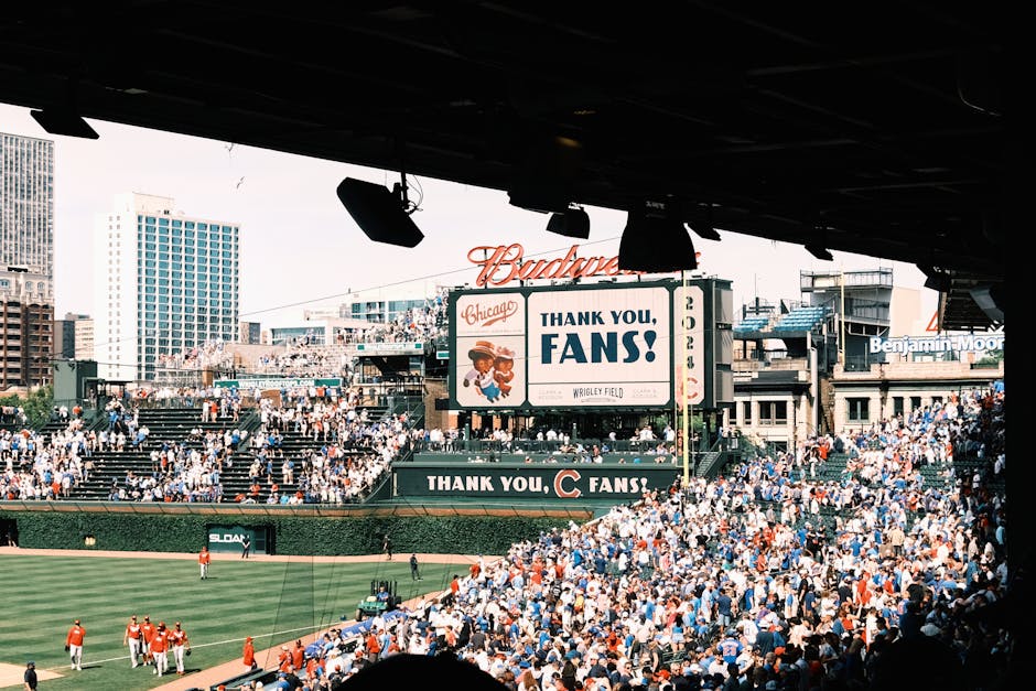 A crowd at a baseball game, an experience Father's Day gift to do together with step dad