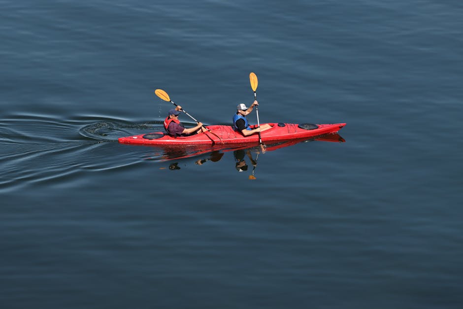 two people kayaking on a serene lake in summer