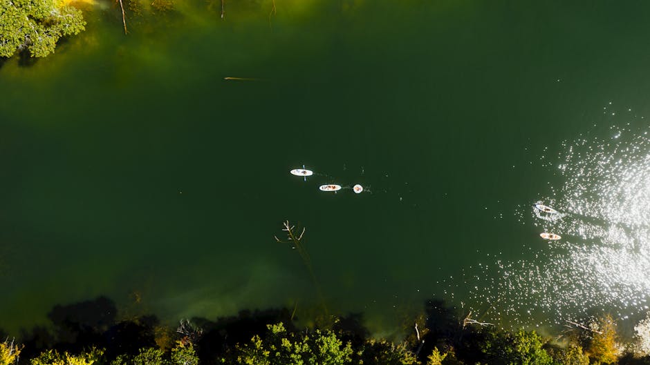 aerial view of paddleboarders gliding on a sunlit lake surrounded by greenery